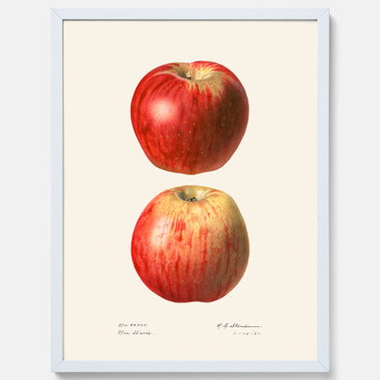 Kökstavla med Äpple poster No.2  – Köksposter, tavla till kök med applen, poster till kök