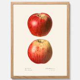 Kökstavla med Äpple poster No.2  – Köksposter, tavla till kök med applen, poster till kök