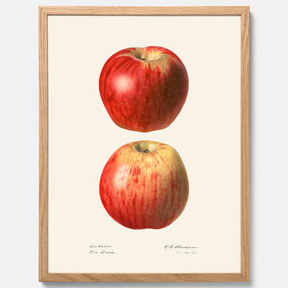 Kökstavla med Äpple poster No.2  – Köksposter, tavla till kök med applen, poster till kök