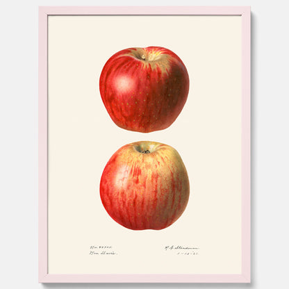 Kökstavla med Äpple poster No.2  – Köksposter, tavla till kök med applen, poster till kök