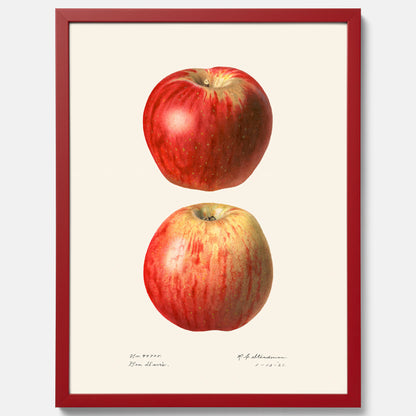 Kökstavla med Äpple poster No.2  – Köksposter, tavla till kök med applen, poster till kök