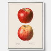 Kökstavla med Äpple poster No.2  – Canvas, tavla till kök med applen, poster till kök