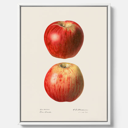 Kökstavla med Äpple poster No.2  – Canvas, tavla till kök med applen, poster till kök