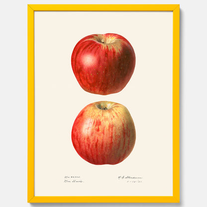 Kökstavla med Äpple poster No.2  – Köksposter, tavla till kök med applen, poster till kök