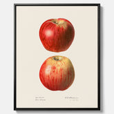 Kökstavla med Äpple poster No.2  – Canvas, tavla till kök med applen, poster till kök