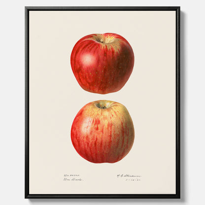 Kökstavla med Äpple poster No.2  – Canvas, tavla till kök med applen, poster till kök
