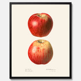 Kökstavla med Äpple poster No.2  – Köksposter, tavla till kök med applen, poster till kök