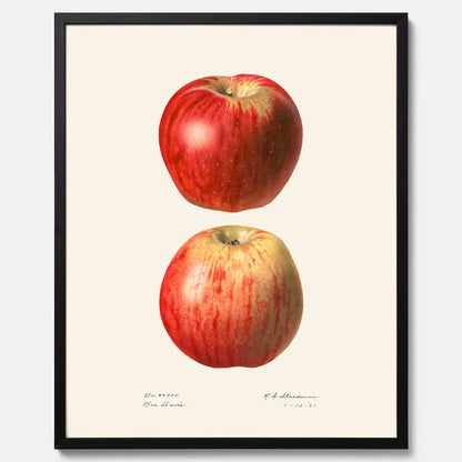 Kökstavla med Äpple poster No.2  – Köksposter, tavla till kök med applen, poster till kök