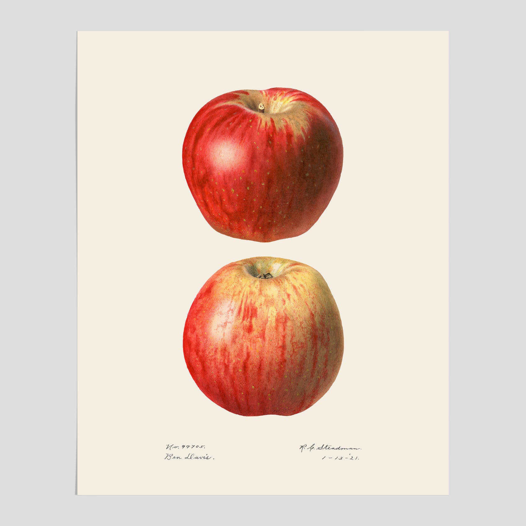 Kökstavla med Äpple poster No.2  – Köksposter, tavla till kök med applen, poster till kök