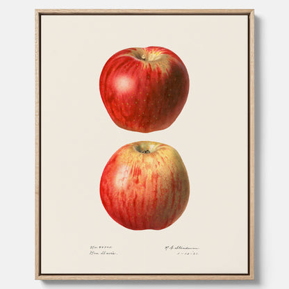 Kökstavla med Äpple poster No.2  – Canvas, tavla till kök med applen, poster till kök