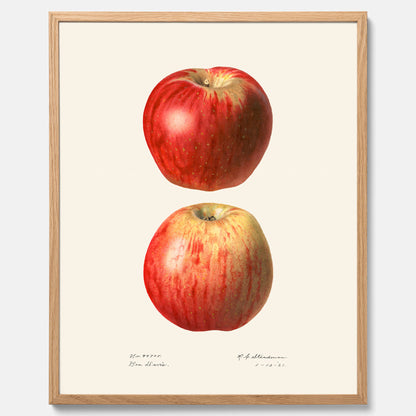 Kökstavla med Äpple poster No.2  – Köksposter, tavla till kök med applen, poster till kök