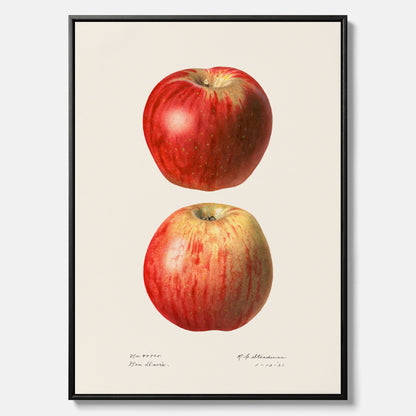 Kökstavla med Äpple poster No.2  – Canvas, tavla till kök med applen, poster till kök
