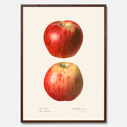 Kökstavla med Äpple poster No.2  – Köksposter, tavla till kök med applen, poster till kök