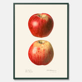 Kökstavla med Äpple poster No.2  – Köksposter, tavla till kök med applen, poster till kök