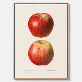Kökstavla med Äpple poster No.2  – Canvas, tavla till kök med applen, poster till kök