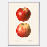 Kökstavla med Äpple poster No.2  – Köksposter, tavla till kök med applen, poster till kök
