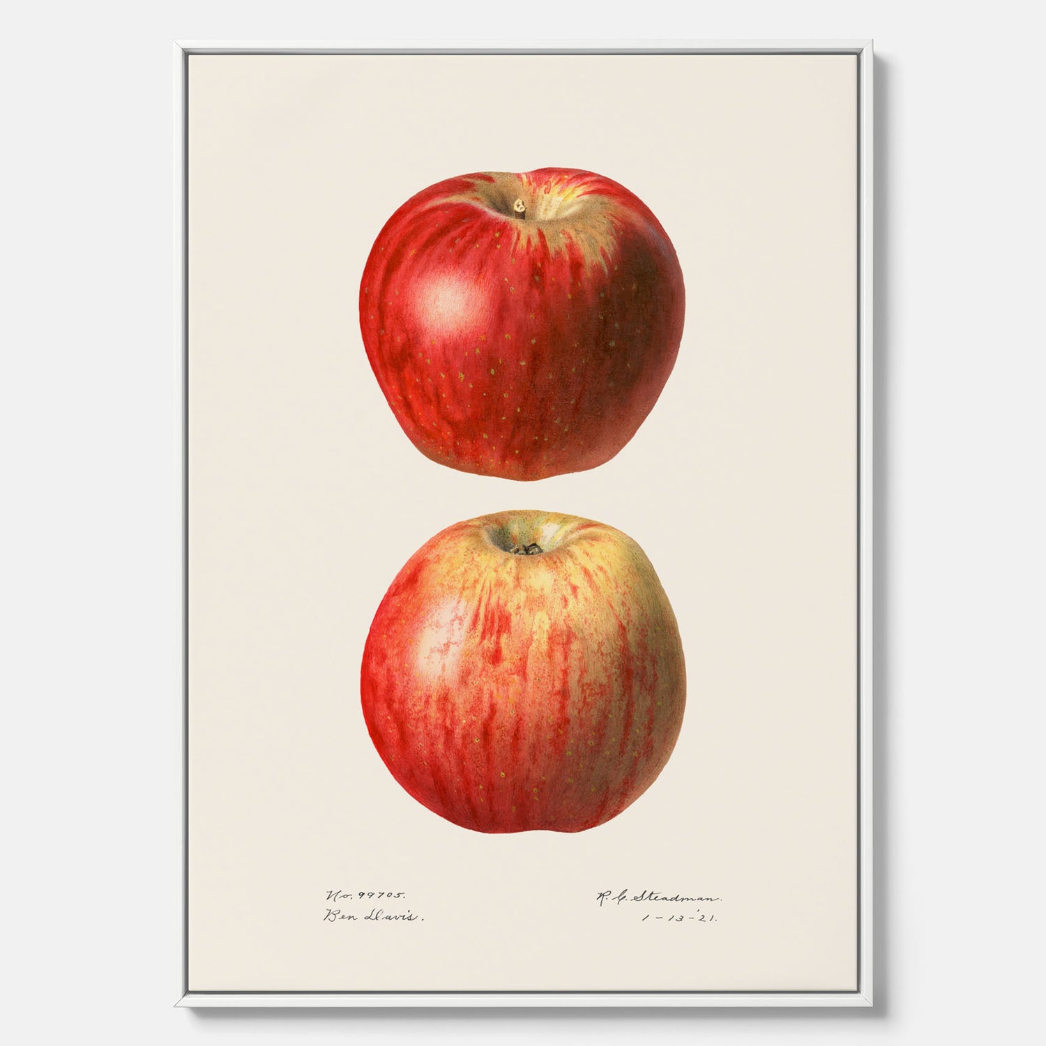 Kökstavla med Äpple poster No.2  – Canvas, tavla till kök med applen, poster till kök