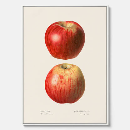 Kökstavla med Äpple poster No.2  – Canvas, tavla till kök med applen, poster till kök