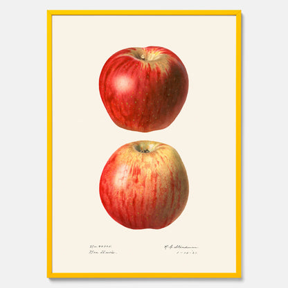Kökstavla med Äpple poster No.2  – Köksposter, tavla till kök med applen, poster till kök