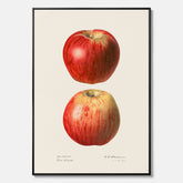 Kökstavla med Äpple poster No.2  – Canvas, tavla till kök med applen, poster till kök