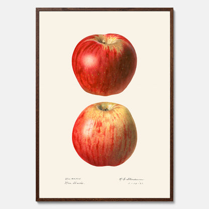Kökstavla med Äpple poster No.2  – Köksposter, tavla till kök med applen, poster till kök