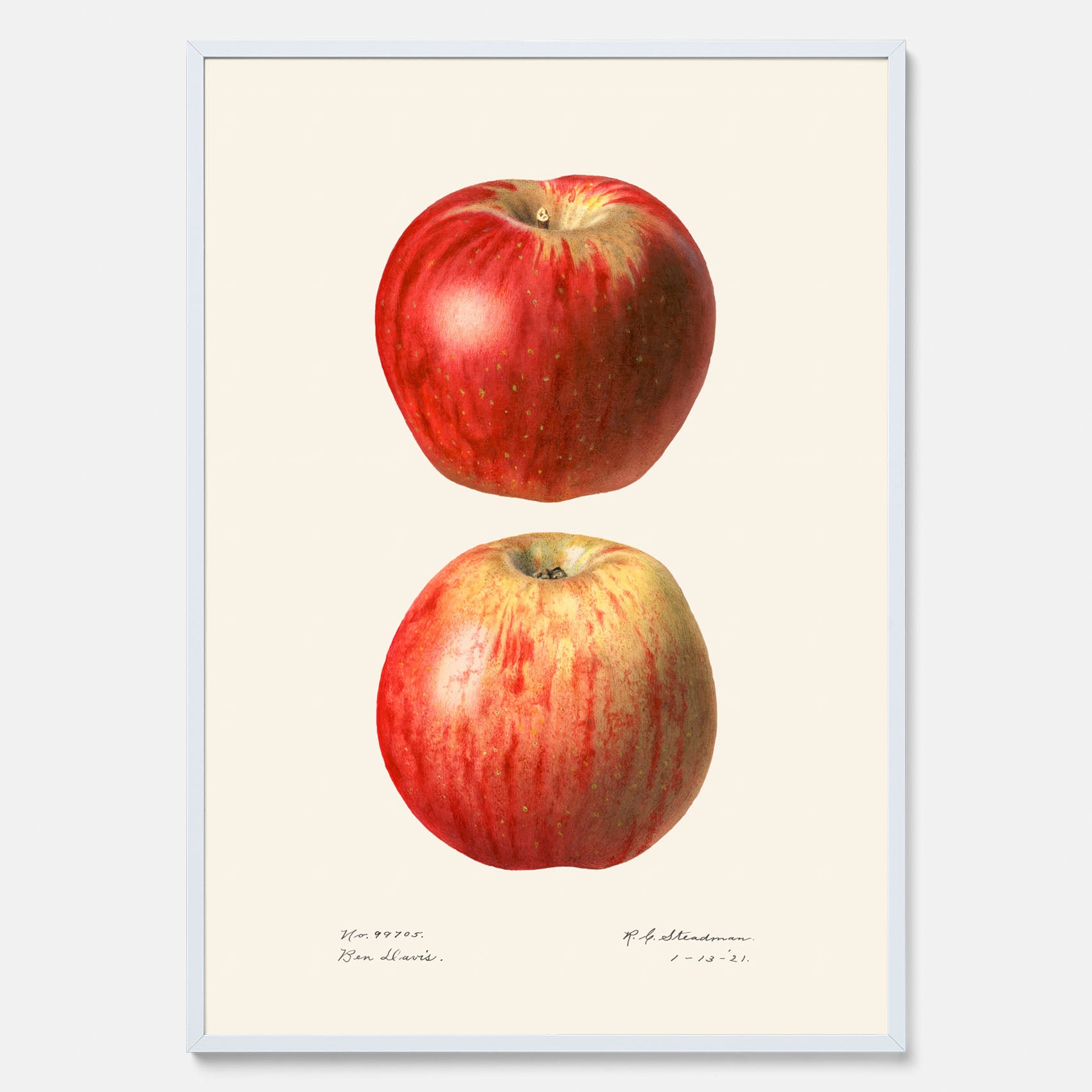 Kökstavla med Äpple poster No.2  – Köksposter, tavla till kök med applen, poster till kök
