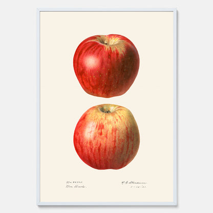 Kökstavla med Äpple poster No.2  – Köksposter, tavla till kök med applen, poster till kök
