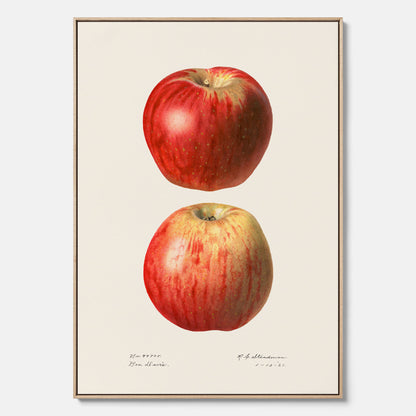 Kökstavla med Äpple poster No.2  – Canvas, tavla till kök med applen, poster till kök