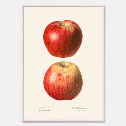 Kökstavla med Äpple poster No.2  – Köksposter, tavla till kök med applen, poster till kök