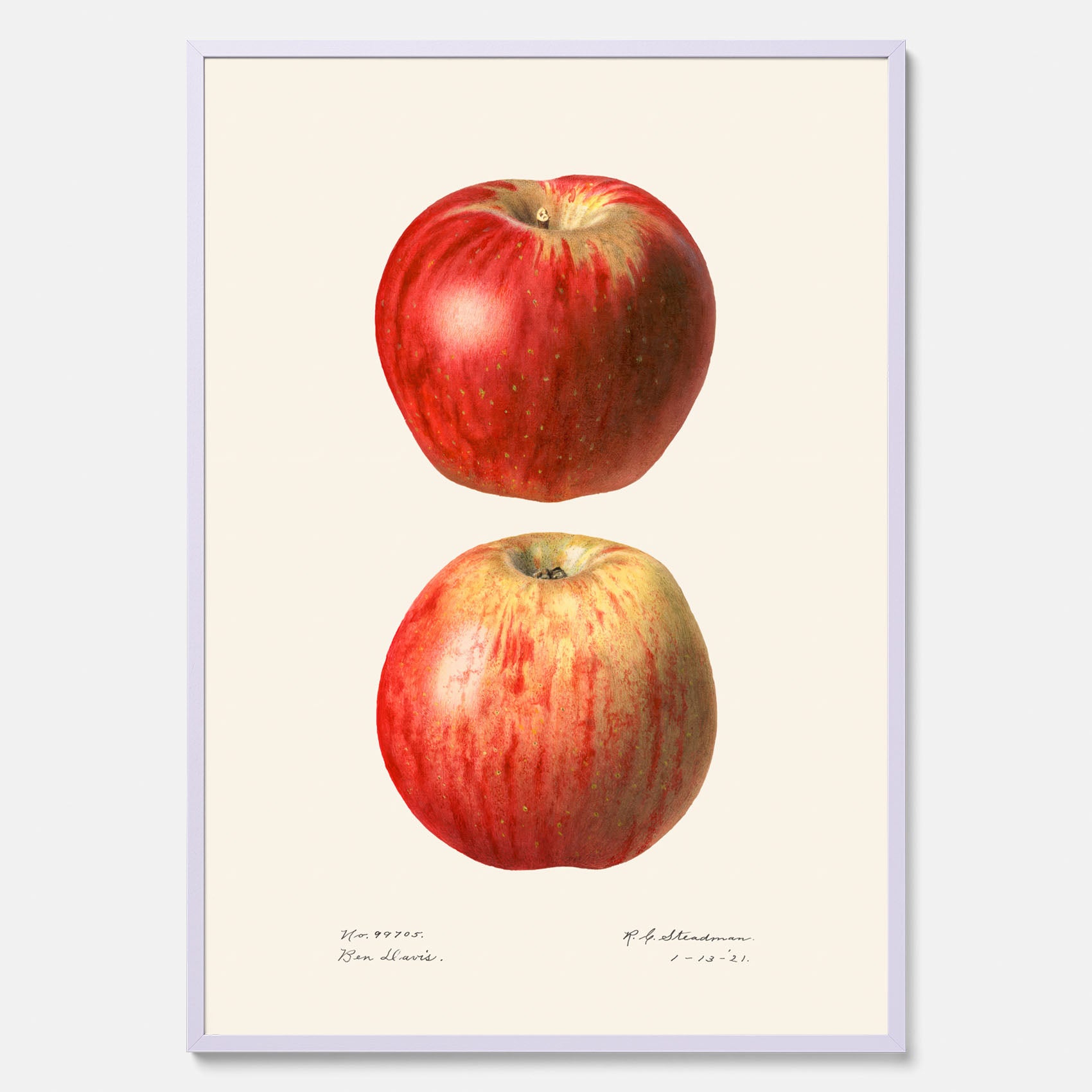 Kökstavla med Äpple poster No.2  – Köksposter, tavla till kök med applen, poster till kök