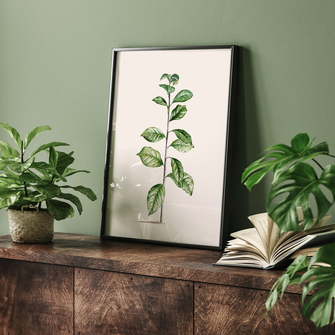 Kökstavla med Arabisk kaffeplanta Poster – Vintageaffisch med en botanisk illustration, köksposter, tavla till kök, poster till kök