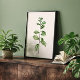Kökstavla med Arabisk kaffeplanta Poster – Vintageaffisch med en botanisk illustration, köksposter, tavla till kök, poster till kök