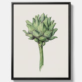 Kökstavla i canvas med en Kronärtskocka Poster – Plansch till kök med vintageillustration, vintageposter, köksposter, tavla till kök, poster till kök