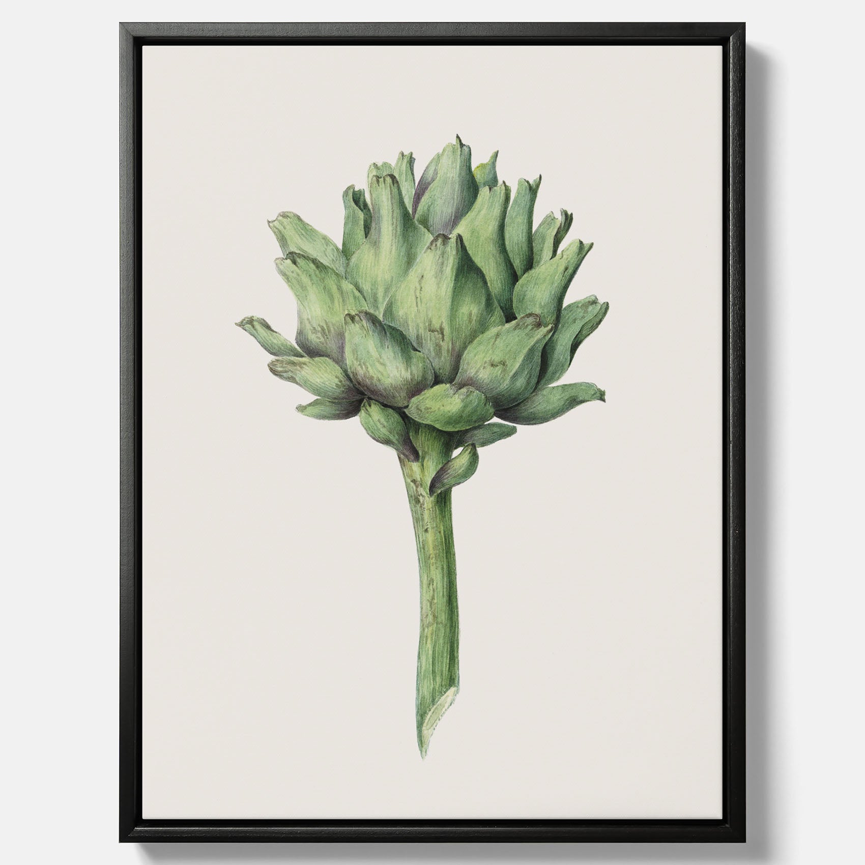 Kökstavla i canvas med en Kronärtskocka Poster – Plansch till kök med vintageillustration, vintageposter, köksposter, tavla till kök, poster till kök