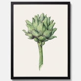 Kökstavla med en Kronärtskocka Poster – Plansch till kök med vintageillustration, vintageposter, köksposter, tavla till kök, poster till kök