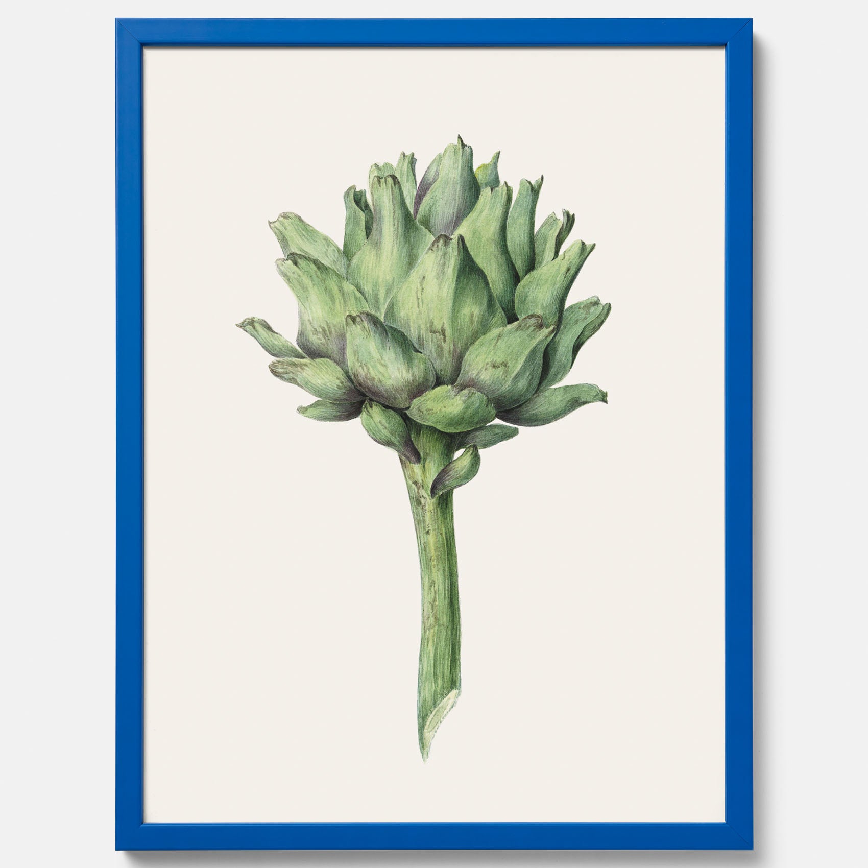 Kökstavla med en Kronärtskocka Poster – Plansch till kök med vintageillustration, vintageposter, köksposter, tavla till kök, poster till kök