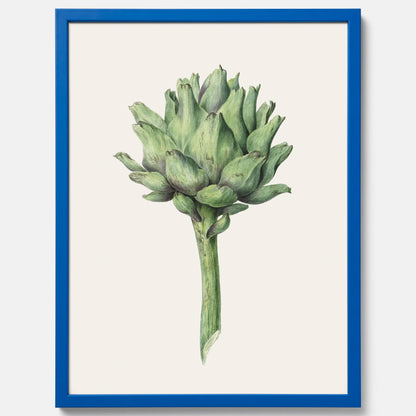 Kökstavla med en Kronärtskocka Poster – Plansch till kök med vintageillustration, vintageposter, köksposter, tavla till kök, poster till kök
