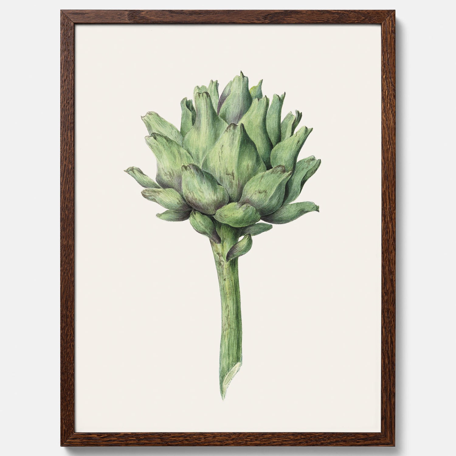 Kökstavla med en Kronärtskocka Poster – Plansch till kök med vintageillustration, vintageposter, köksposter, tavla till kök, poster till kök