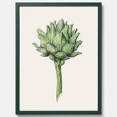 Kökstavla med en Kronärtskocka Poster – Plansch till kök med vintageillustration, vintageposter, köksposter, tavla till kök, poster till kök