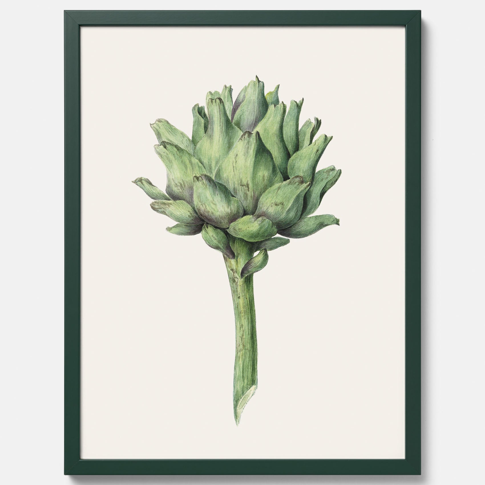Kökstavla med en Kronärtskocka Poster – Plansch till kök med vintageillustration, vintageposter, köksposter, tavla till kök, poster till kök
