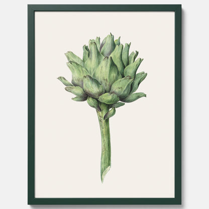 Kökstavla med en Kronärtskocka Poster – Plansch till kök med vintageillustration, vintageposter, köksposter, tavla till kök, poster till kök