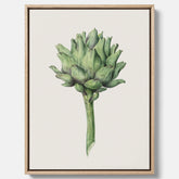 Kökstavla i canvas med en Kronärtskocka Poster – Plansch till kök med vintageillustration, vintageposter, köksposter, tavla till kök, poster till kök