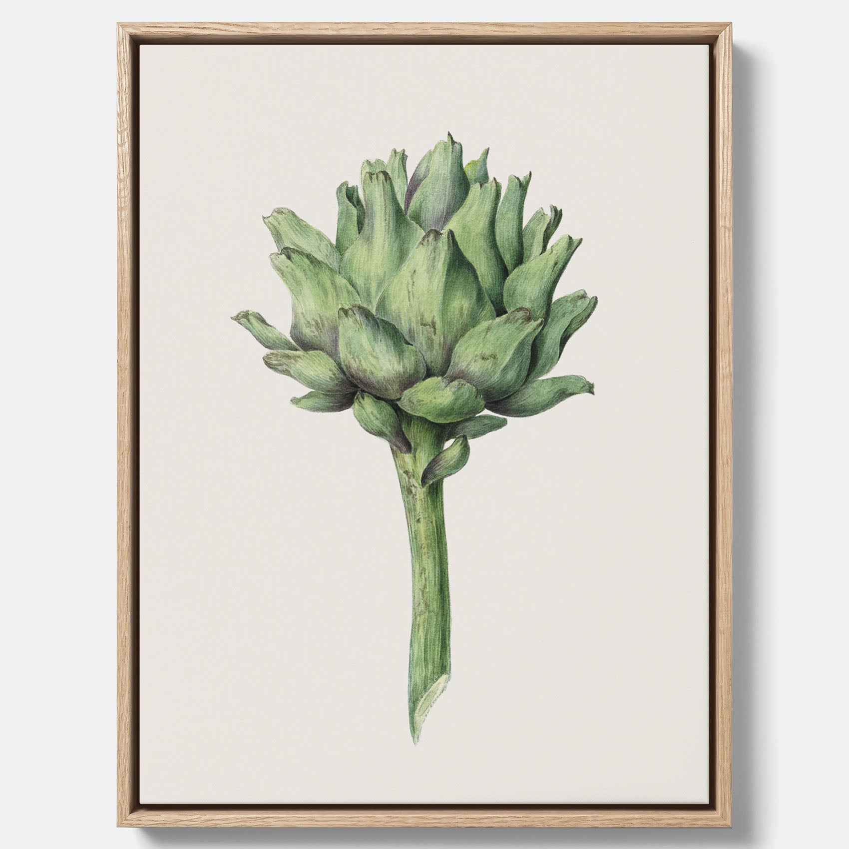 Kökstavla i canvas med en Kronärtskocka Poster – Plansch till kök med vintageillustration, vintageposter, köksposter, tavla till kök, poster till kök