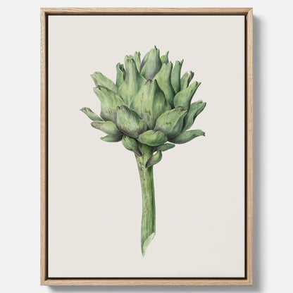 Kökstavla i canvas med en Kronärtskocka Poster – Plansch till kök med vintageillustration, vintageposter, köksposter, tavla till kök, poster till kök