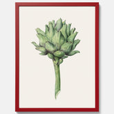 Kökstavla med en Kronärtskocka Poster – Plansch till kök med vintageillustration, vintageposter, köksposter, tavla till kök, poster till kök