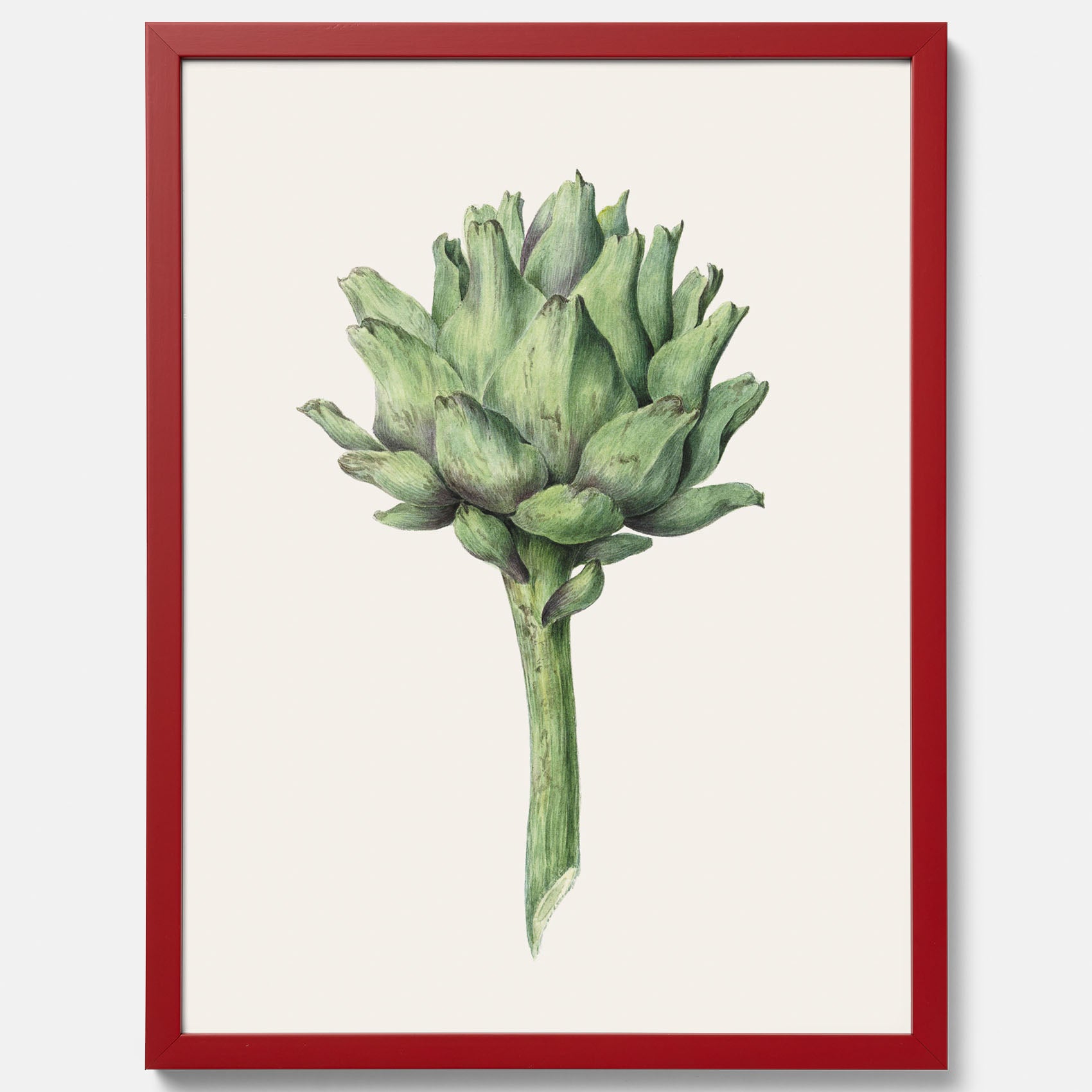 Kökstavla med en Kronärtskocka Poster – Plansch till kök med vintageillustration, vintageposter, köksposter, tavla till kök, poster till kök