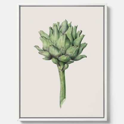 Kökstavla i canvas med en Kronärtskocka Poster – Plansch till kök med vintageillustration, vintageposter, köksposter, tavla till kök, poster till kök