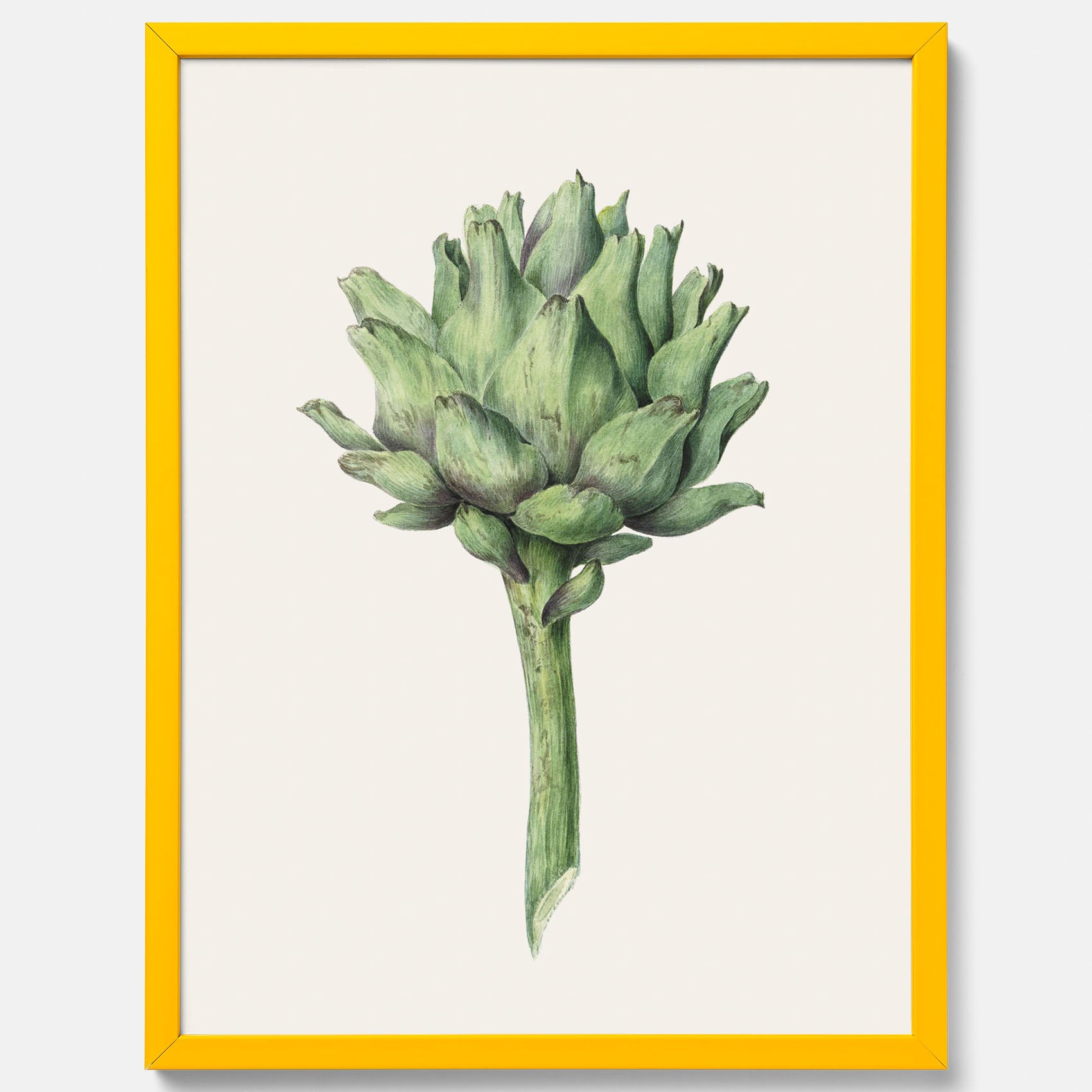Kökstavla med en Kronärtskocka Poster – Plansch till kök med vintageillustration, vintageposter, köksposter, tavla till kök, poster till kök