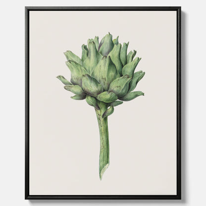 Kökstavla i canvas med en Kronärtskocka Poster – Plansch till kök med vintageillustration, vintageposter, köksposter, tavla till kök, poster till kök