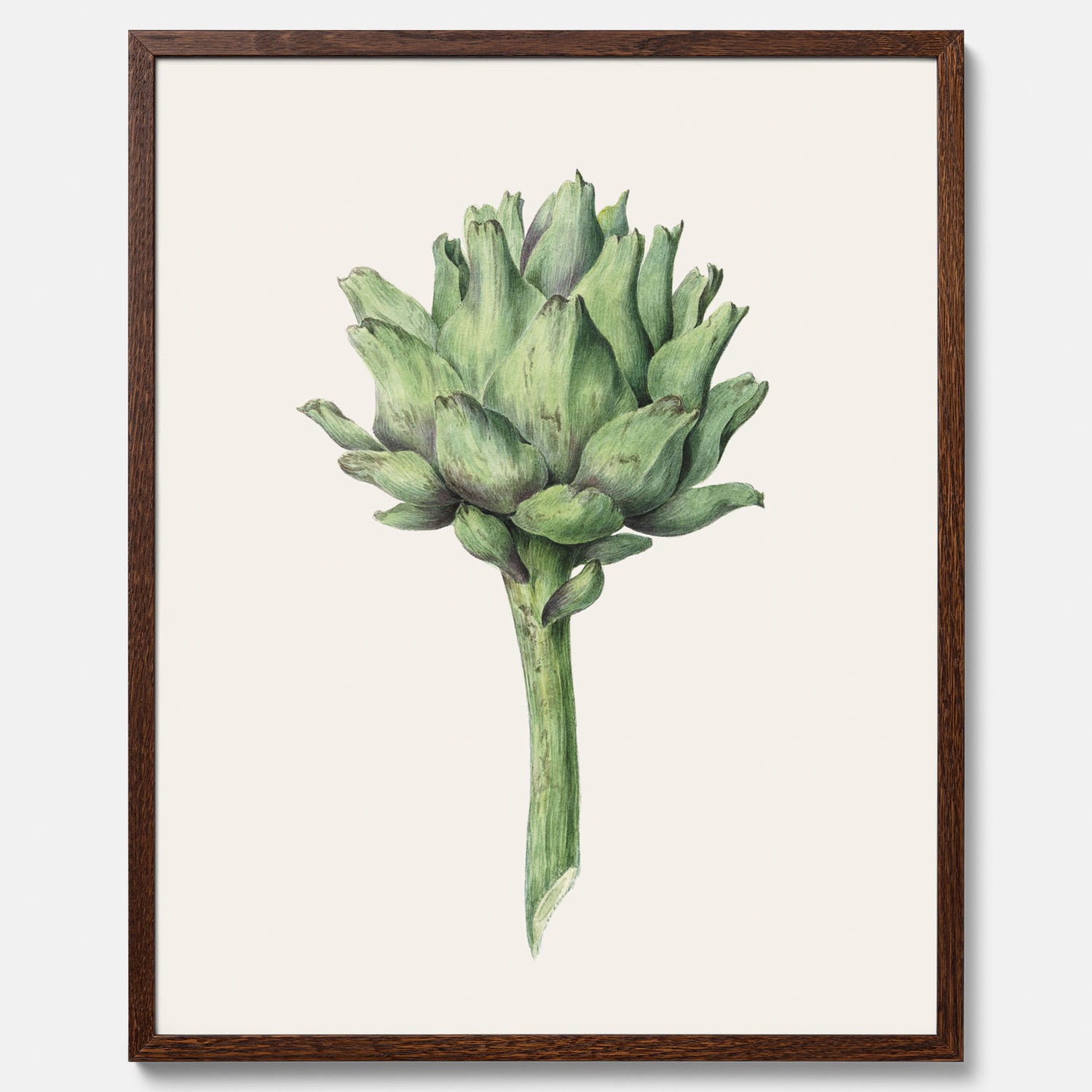 Kökstavla med en Kronärtskocka Poster – Plansch till kök med vintageillustration, vintageposter, köksposter, tavla till kök, poster till kök